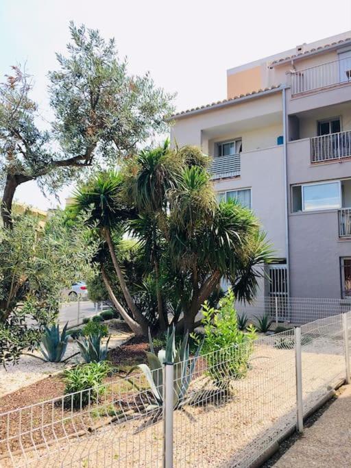 Appartement T2 Au Port De Canet-En-Roussillon - Proche De La Plage Et De L'Aquarium Oniria Exterior photo